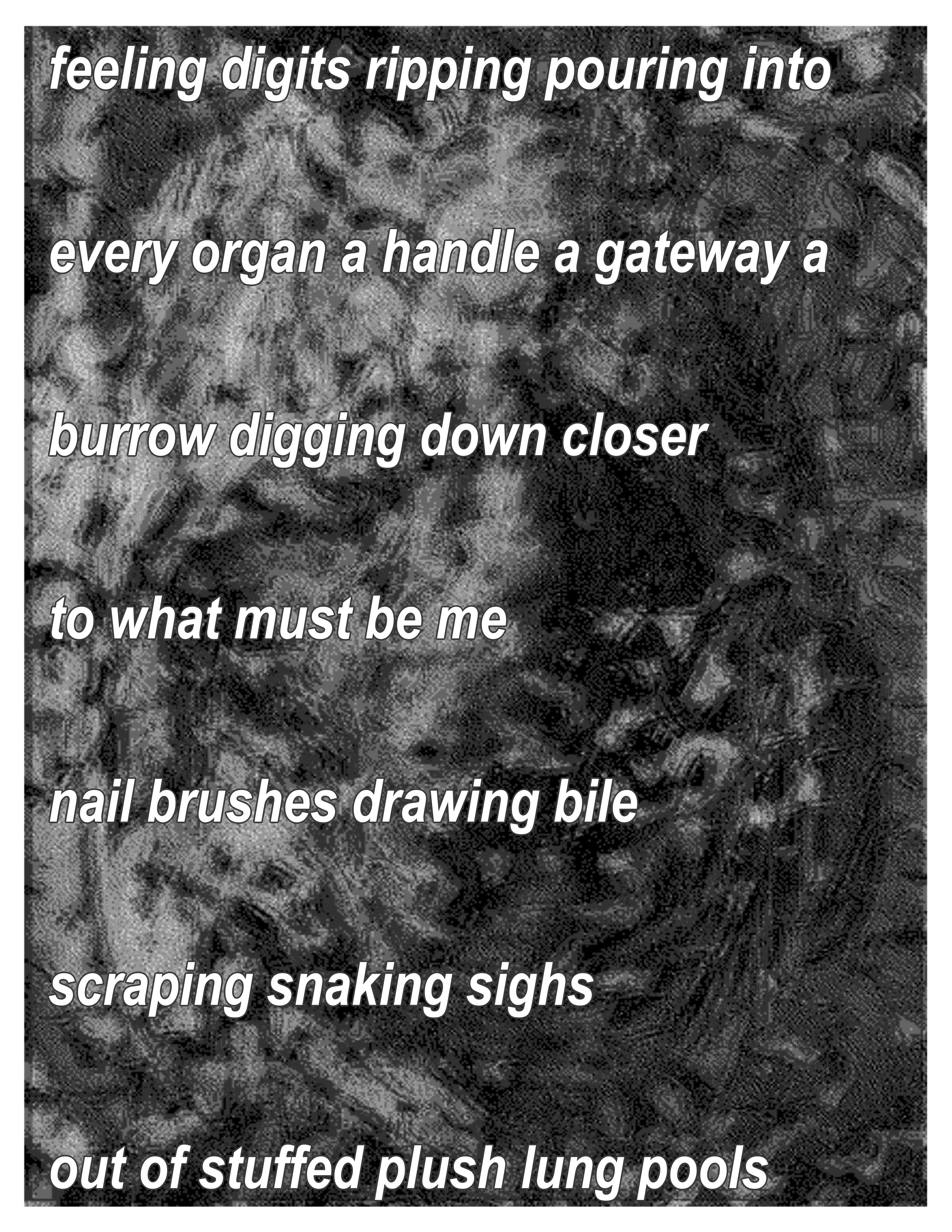Text saying 'feeling digits ripping pouring into / every organ a handle a gateway a / burrow digging down closer / to what must be me / nail brushes drawing bile / scraping snaking sighs / out of stuffed plush lung pools' The text is overlaid on a glitchy image of a torso's internal organs with slight chromatic abberation applied